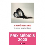 Roman, francophone, Chloé Delaume, Le cœur synthétique, Le Seuil, Points, Jean-Pierre Longre